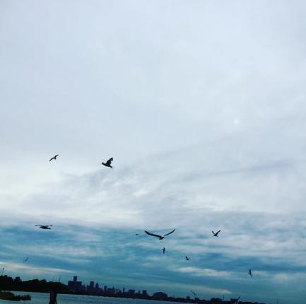 19577454_10213749714041720_6934658799013938064_o